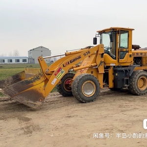 其他20系装载机