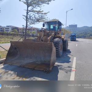 雷沃956H装载机