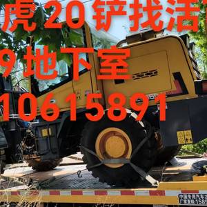 其他20系装载机