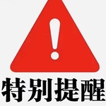 临工50系装载机