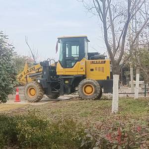 其他20系装载机