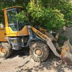 其他20系装载机