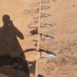 雷沃50系装载机