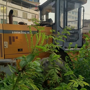 龙工833B装载机