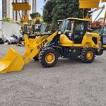 其他25系装载机