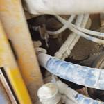 晋工50系装载机