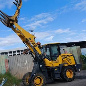 其他20系装载机