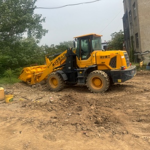 其他25系装载机