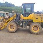 其他20系装载机