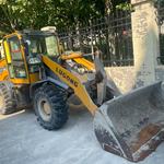 其他20系装载机