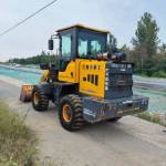 其他20系装载机