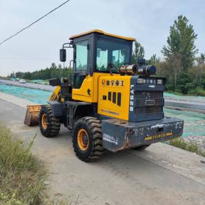 其他20系装载机