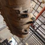 徐工500KV装载机