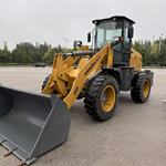 其他20系装载机