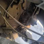 宇通50系装载机