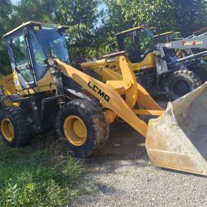 其他20系装载机