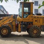 其他20系装载机