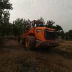 斗山503-9C装载机