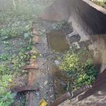 其他50系装载机