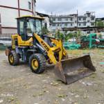 其他20系装载机