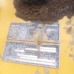 其他50系装载机