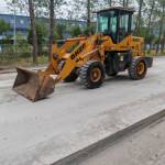 其他20系装载机