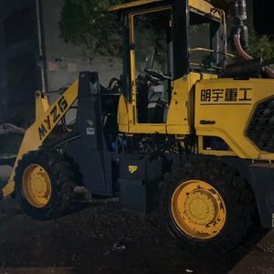 其他20系装载机