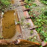 其他50系装载机