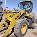 其他30系装载机