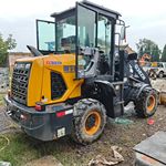 其他20系装载机