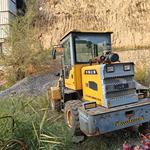 其他20系装载机