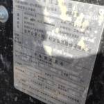 其他20系装载机