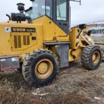 其他20系装载机