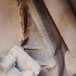 龙工50系装载机