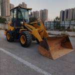 柳工20系装载机