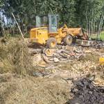 柳工20系装载机