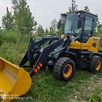 其他20系装载机