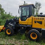 其他20系装载机