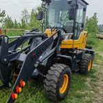 其他20系装载机