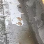 其他20系装载机