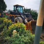 徐工550FV装载机