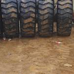 徐工50系装载机